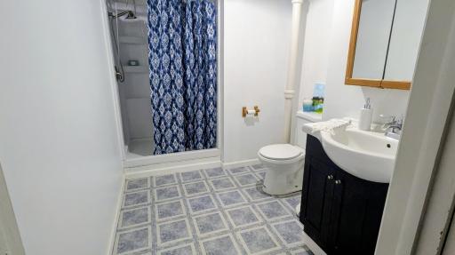 Lower Level Bathroom with unfinished ceiling for pipe access.