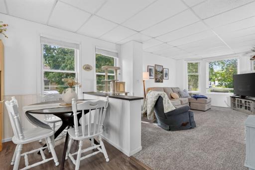 204 Dudley Avenue, Coleraine, MN 55722