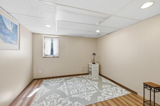 Lower level 4th bedroom area with egress window!