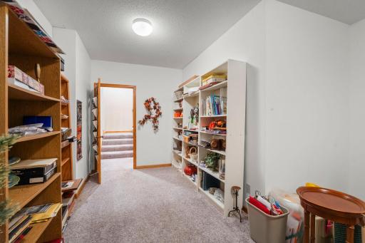 Office/Play Room/Finished Storage