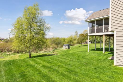 Backyard with no neighbors