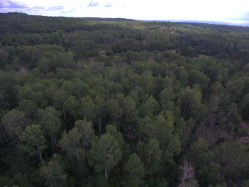 TBD XXX Maxwell Road, Duluth, MN 55803