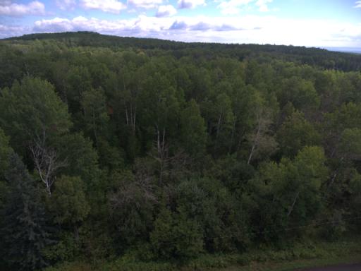 TBD XXX Maxwell Road, Duluth, MN 55803