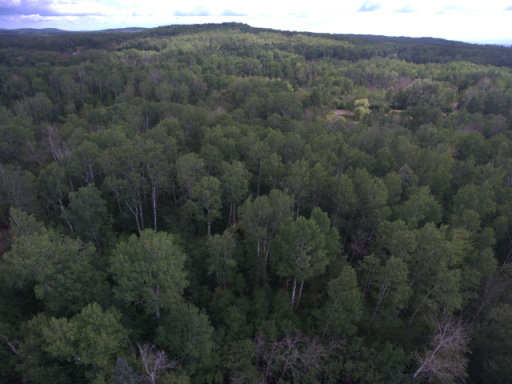 TBD XXX Maxwell Road, Duluth, MN 55803