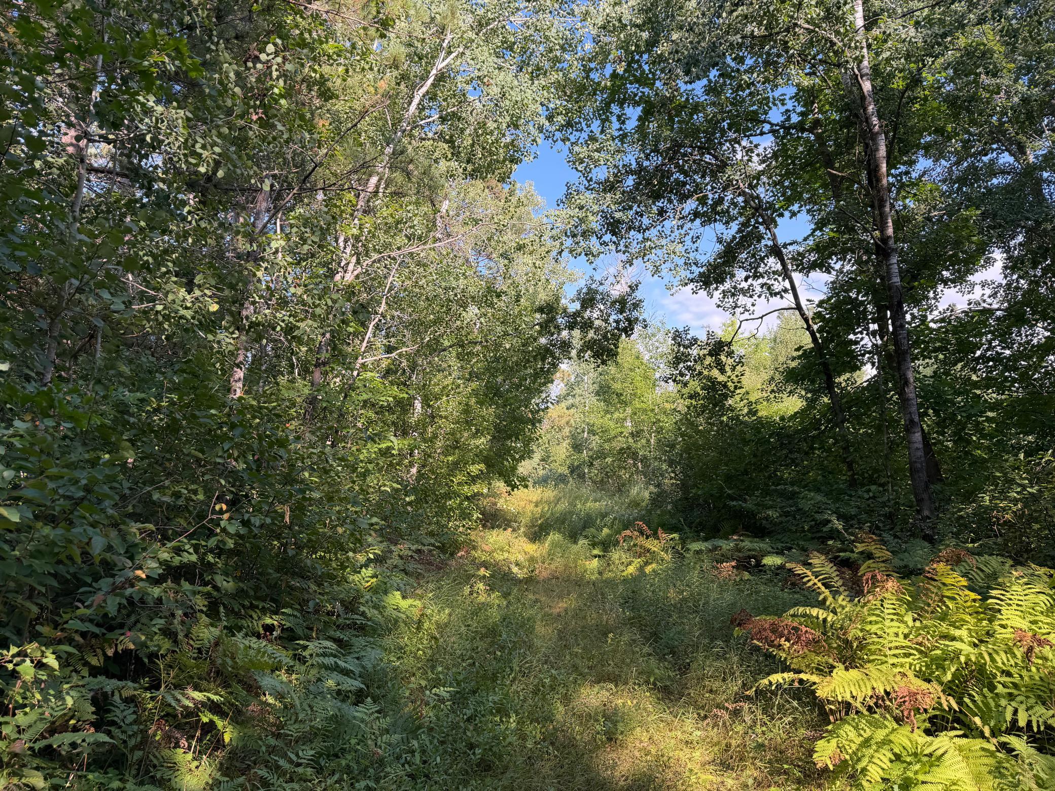 Property photo for tbd Klice Road, Willow River, MN 55795