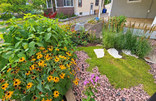 Beautiful Landscaping