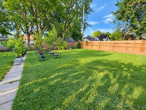 Brand New Backyard Fence