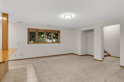 Huge LL family room with lots of light