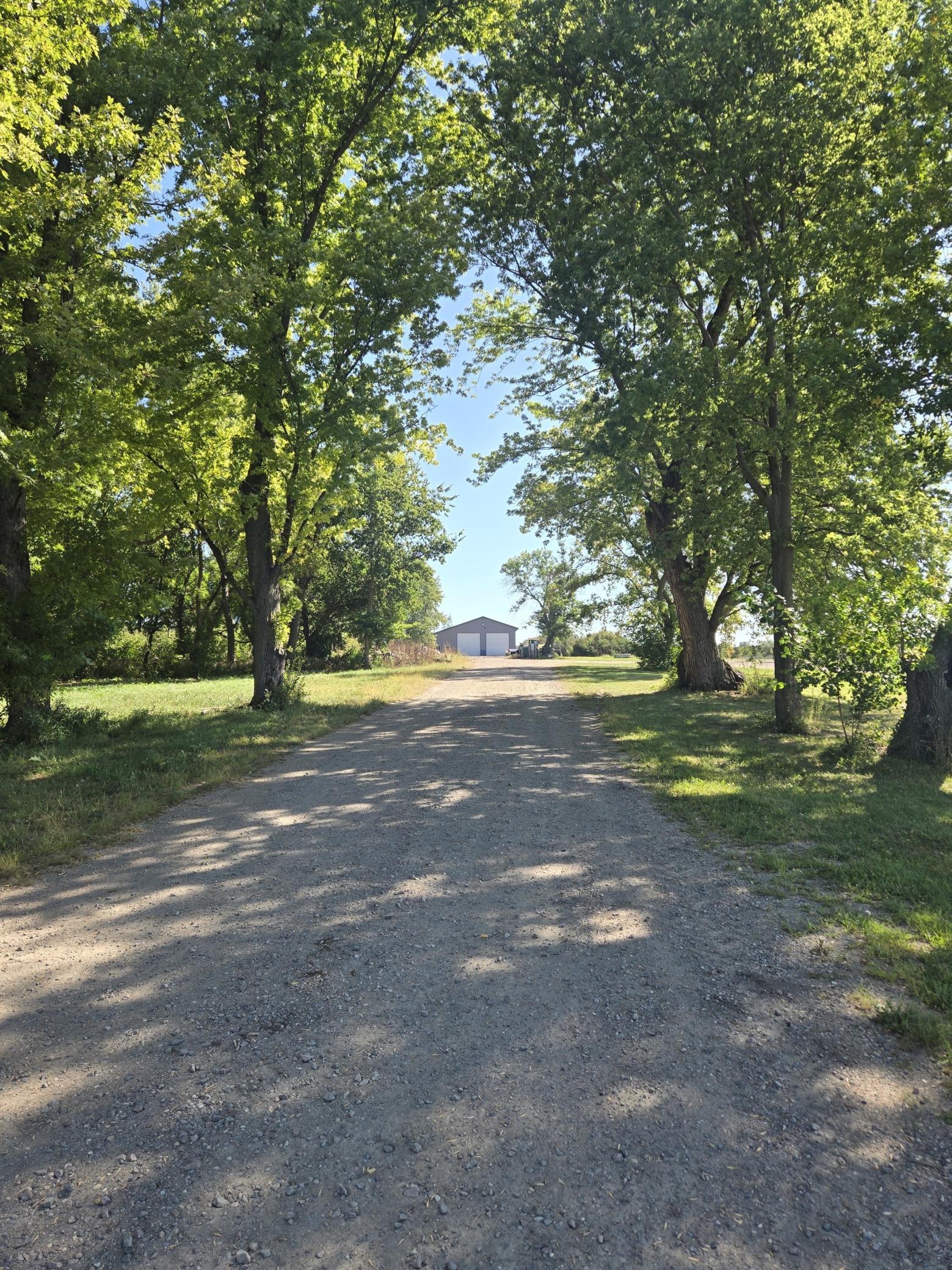 Driveway.jpg