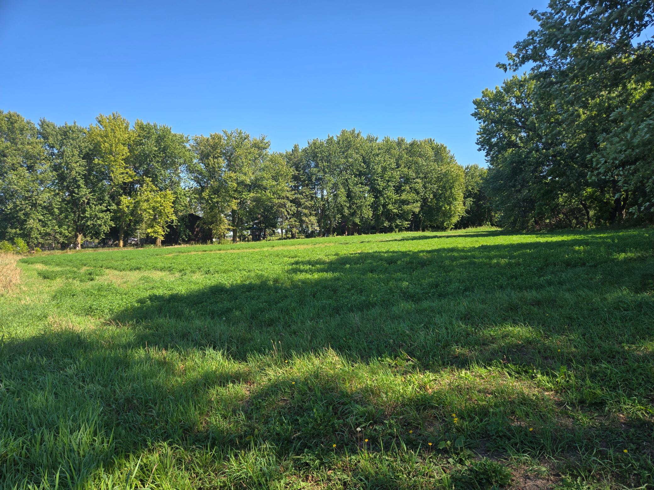 Front Field.jpg