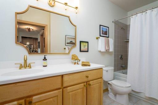 284 Spring Street, 305, Saint Paul, MN 55102
