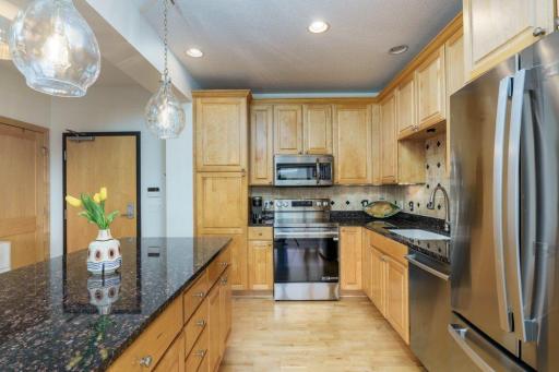 284 Spring Street, 305, Saint Paul, MN 55102