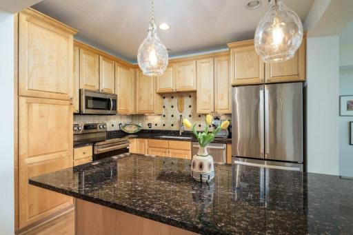 284 Spring Street, 305, Saint Paul, MN 55102