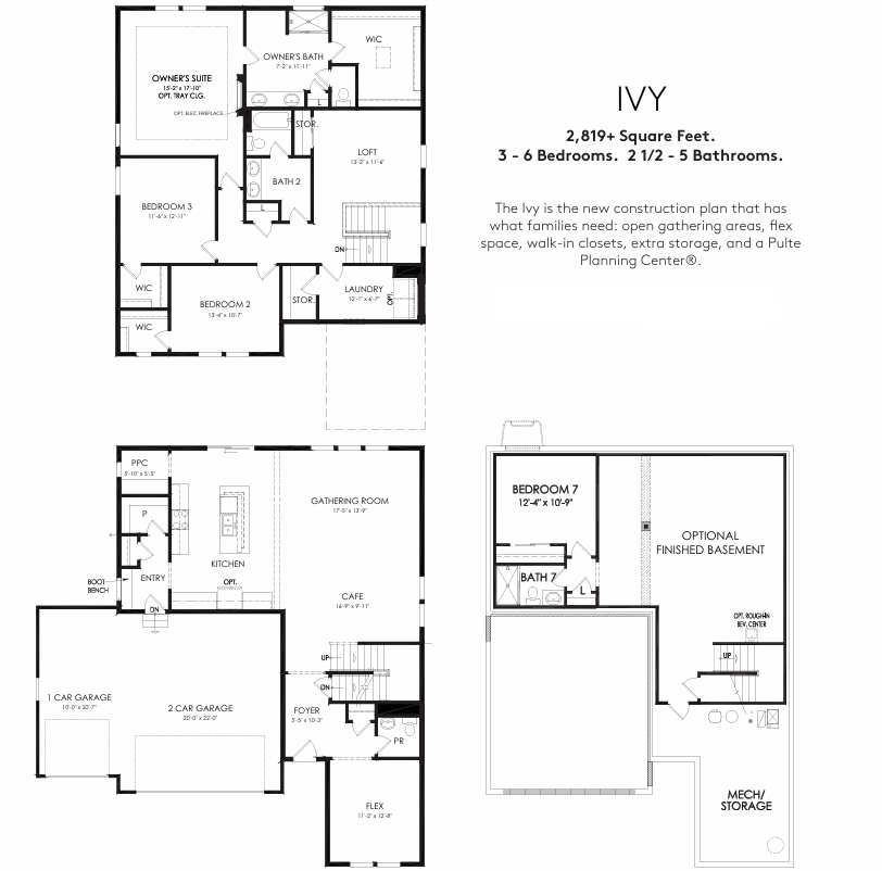 Ivy Floorplan