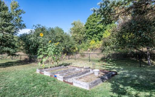 Garden Beds in the Backyard