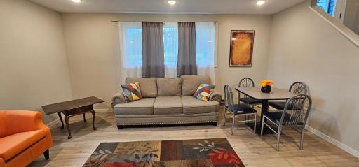 Lower Level Family Room