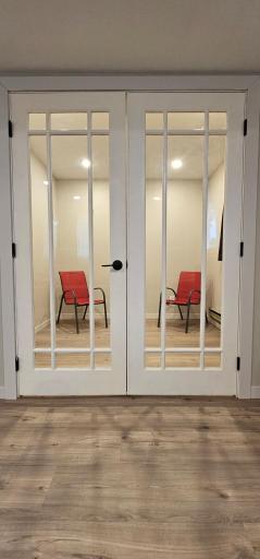 Flex Room/Office Lower Level