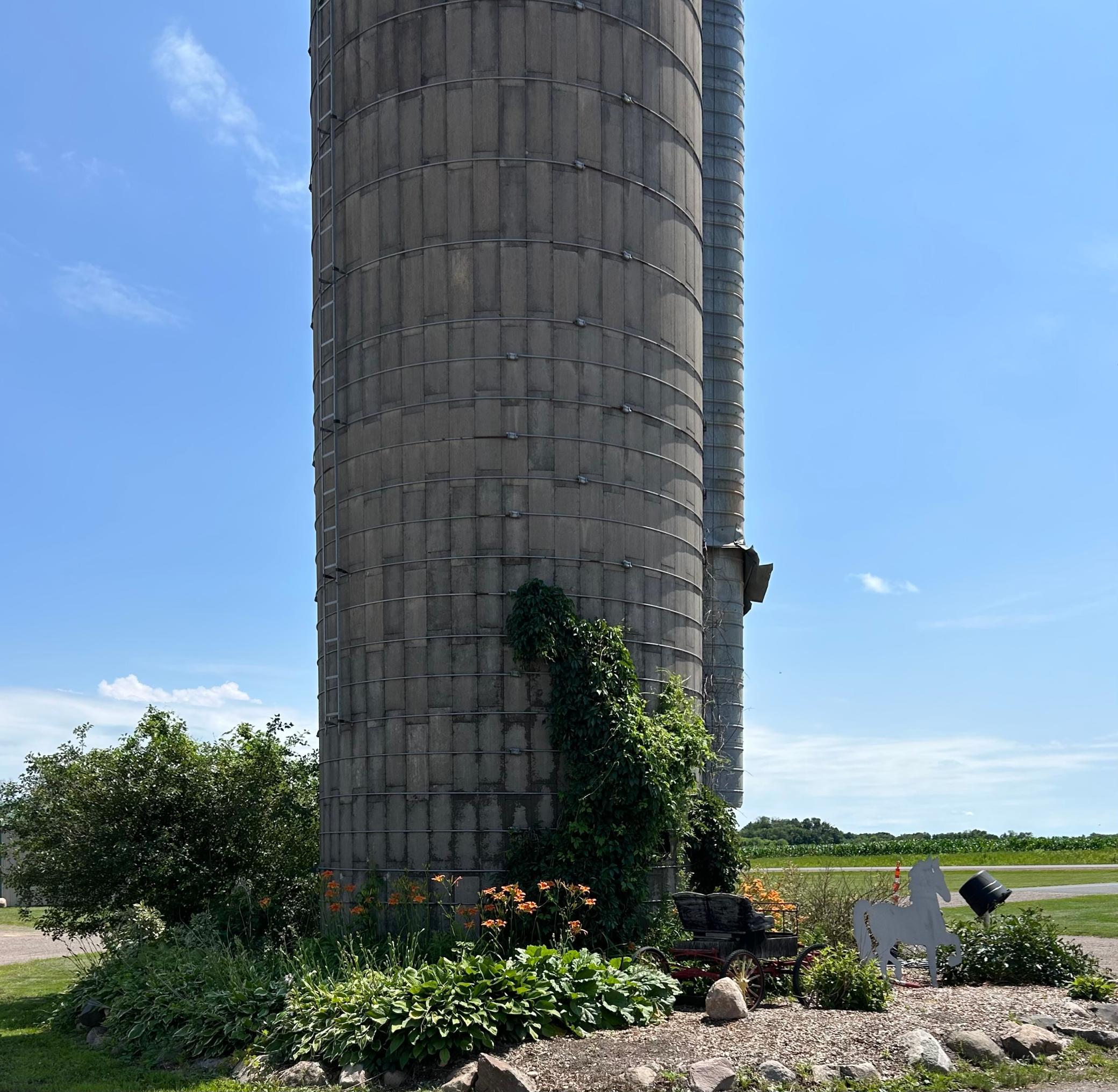 Photo 44
