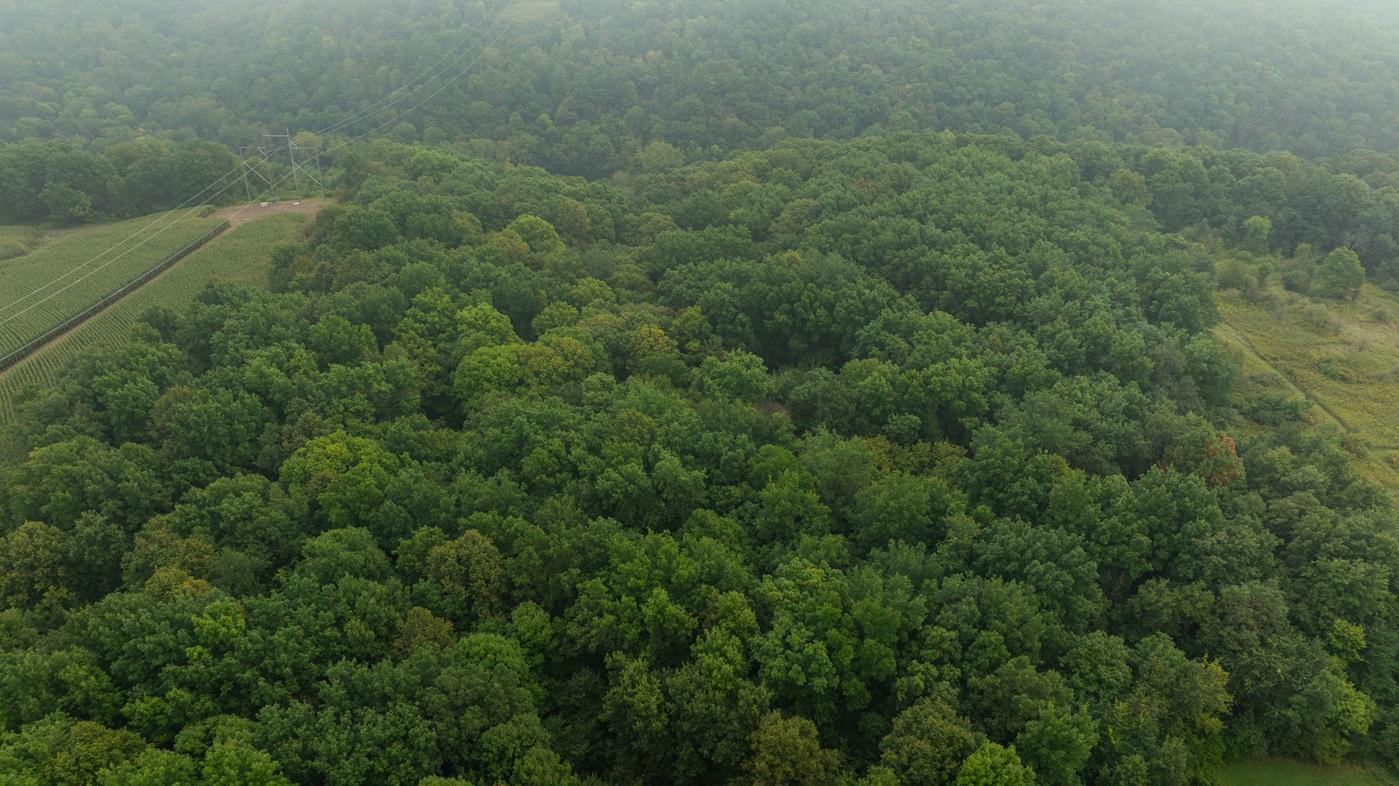 DJI_20260904102810_0047_D.jpg
