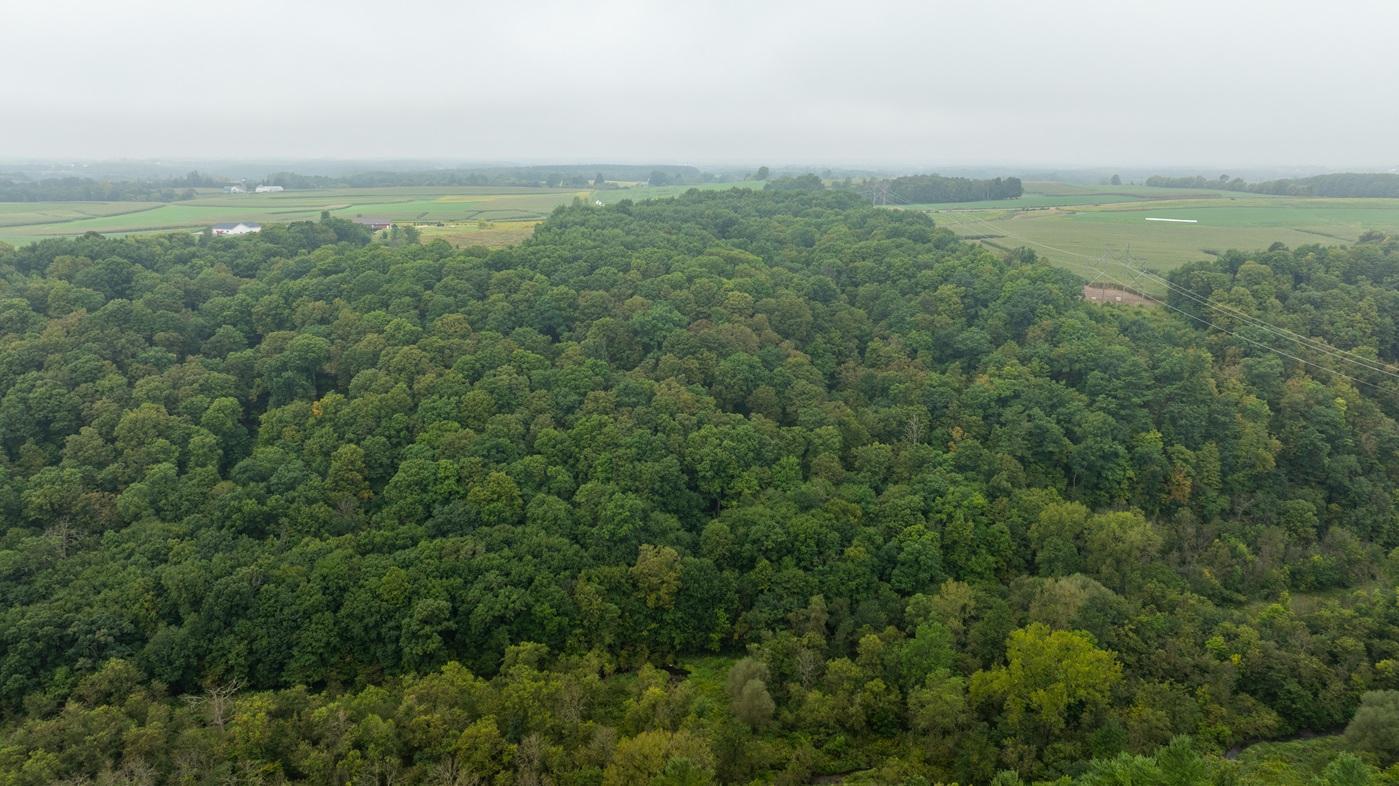 DJI_20260904103203_0055_D.jpg