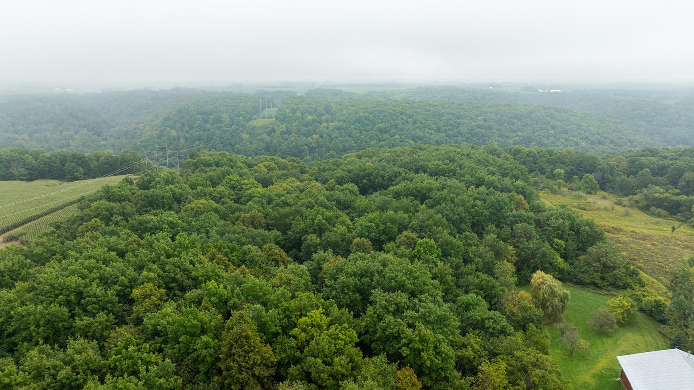DJI_20260904103336_0058_D.jpg