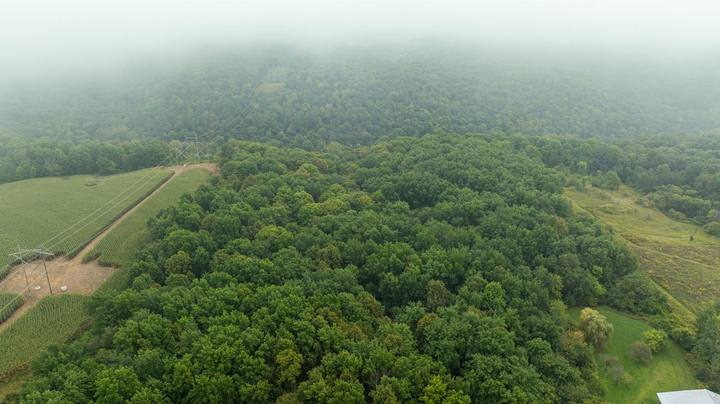 DJI_20260904103350_0059_D.jpg