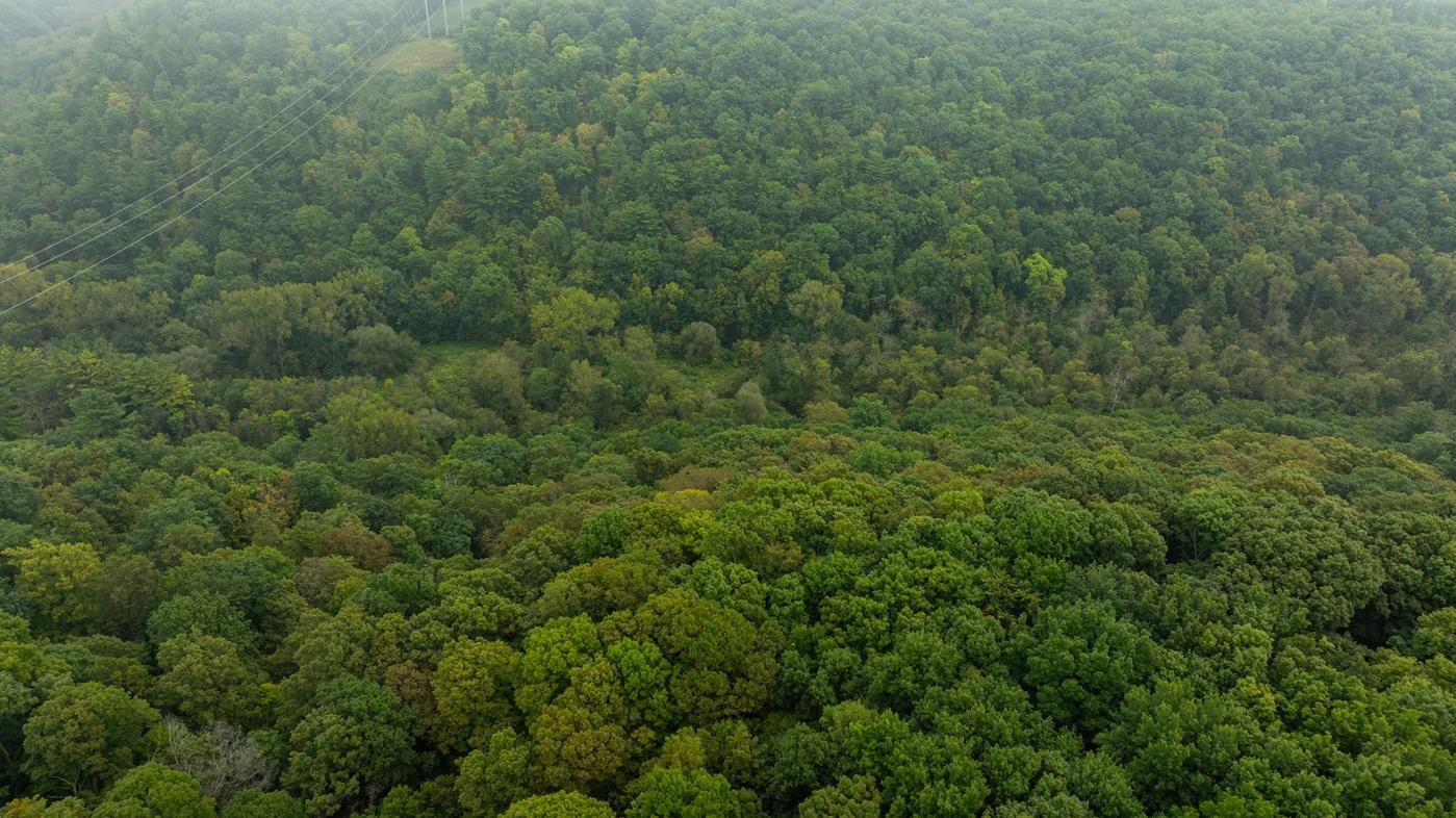 DJI_20260904102848_0049_D.jpg