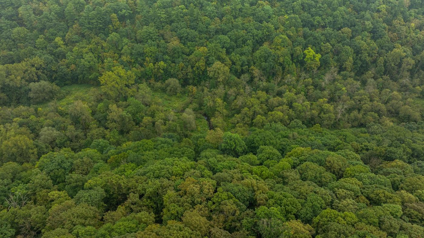 DJI_20260904102903_0050_D.jpg