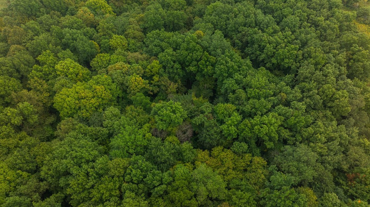 DJI_20260904102829_0048_D.jpg
