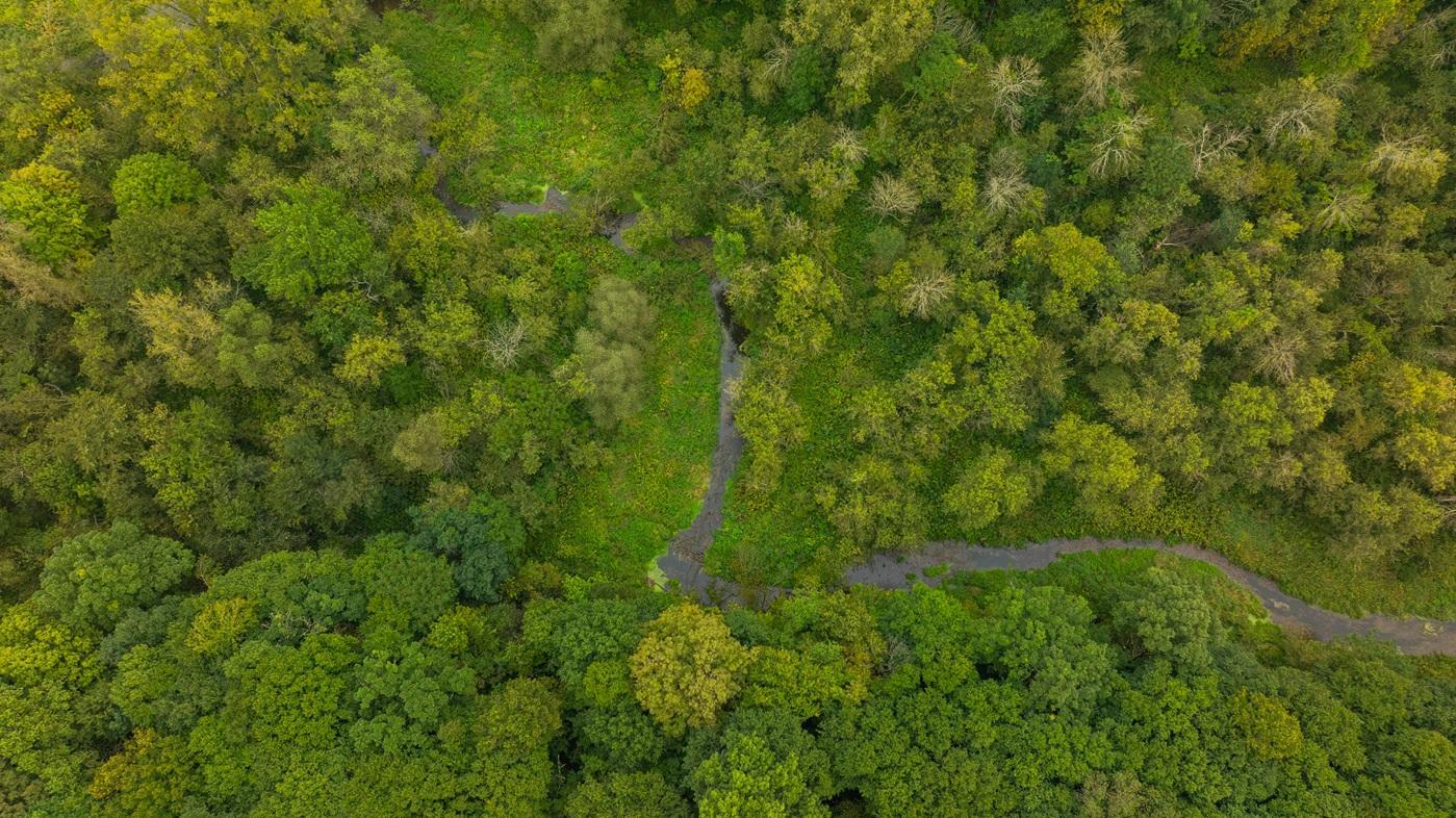 DJI_20260904102957_0052_D.jpg