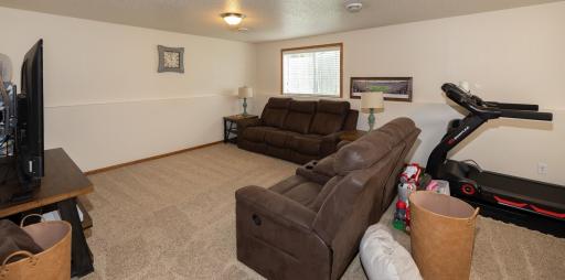 Lower Level Family Room