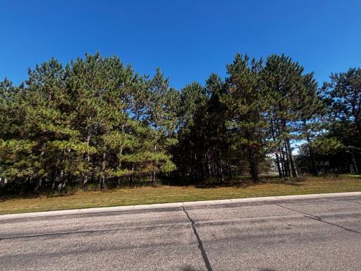 TBD Emerald Drive, Alexandria, MN 56308