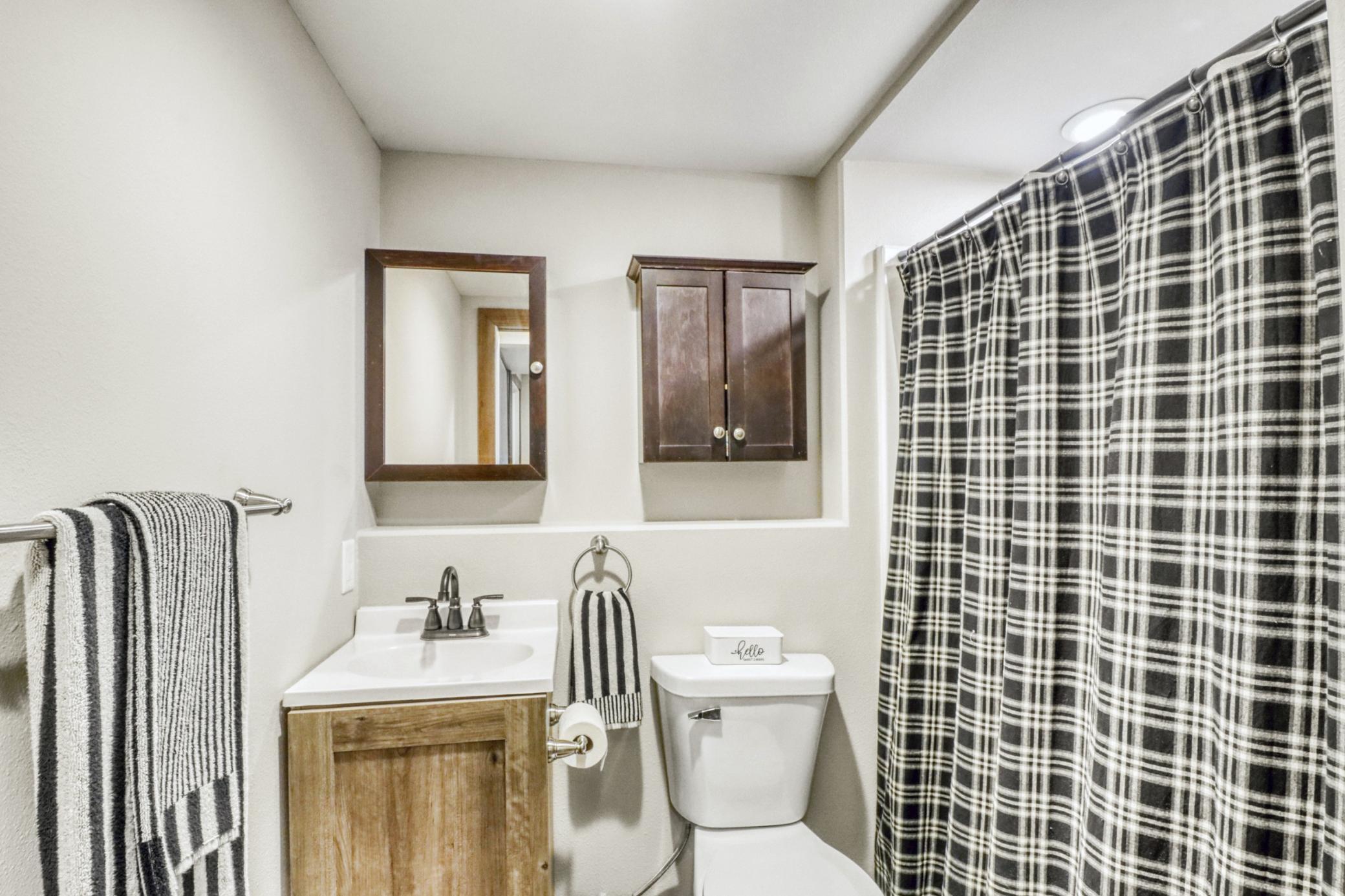 Basement Bathroom1_1.JPG