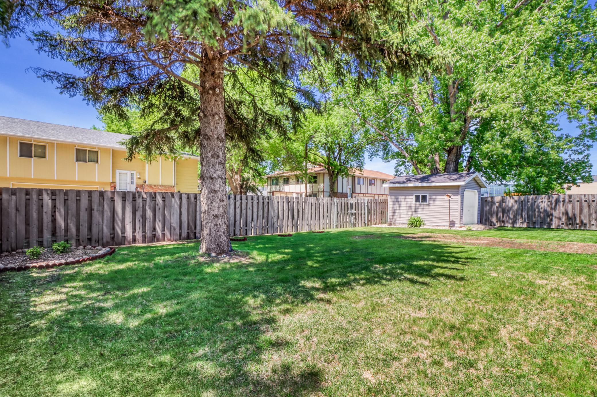 Backyard1_1.jpg