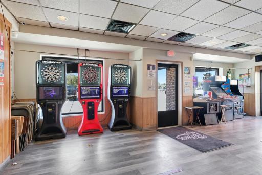 Dart leagues