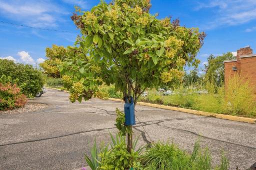 8242 Freemont Avenue S, B, Bloomington, MN 55420