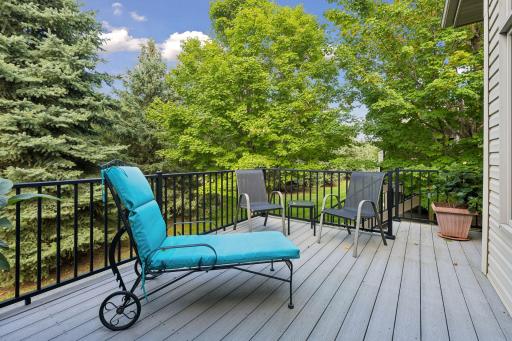 10162 Chestnut Circle N, Brooklyn Park, MN 55443