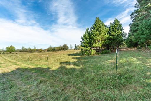 TBD Rocky Ridge Road, Henning, MN 56551