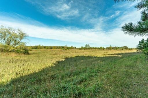 TBD Rocky Ridge Road, Henning, MN 56551