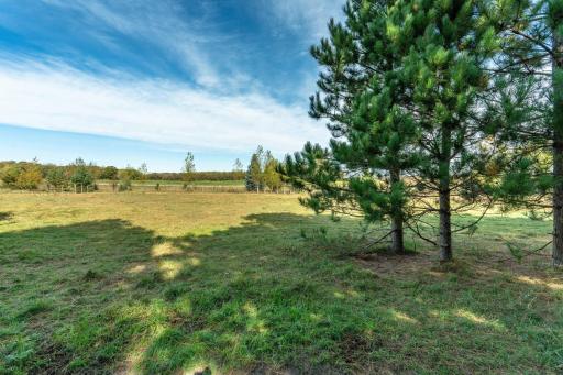 TBD Rocky Ridge Road, Henning, MN 56551