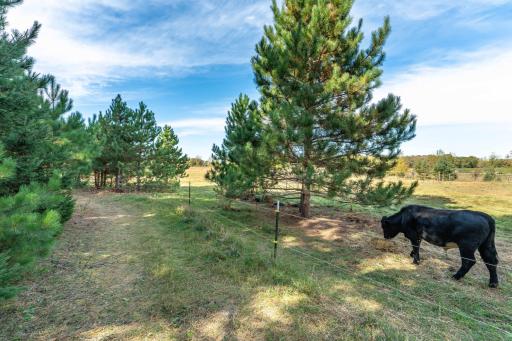 TBD Rocky Ridge Road, Henning, MN 56551