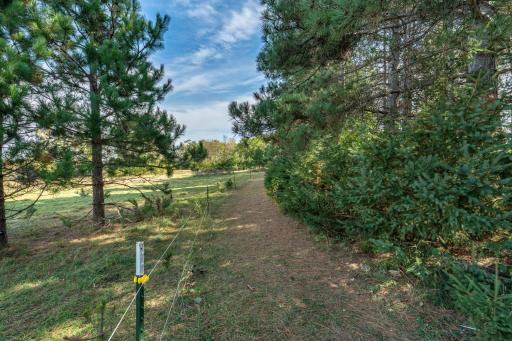 TBD Rocky Ridge Road, Henning, MN 56551
