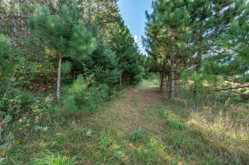 TBD Rocky Ridge Road, Henning, MN 56551