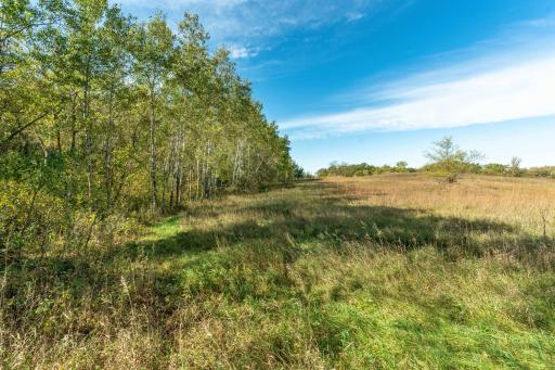 TBD Rocky Ridge Road, Henning, MN 56551