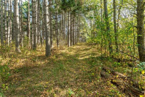 TBD Rocky Ridge Road, Henning, MN 56551