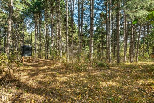 TBD Rocky Ridge Road, Henning, MN 56551