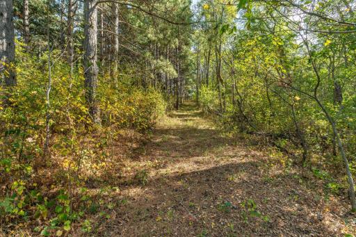 TBD Rocky Ridge Road, Henning, MN 56551
