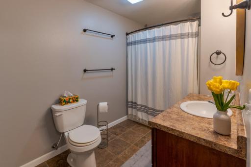 Lower Level Full Bath.jpeg