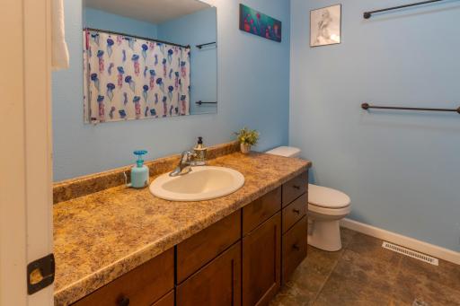 Main Level Full Bath.jpeg