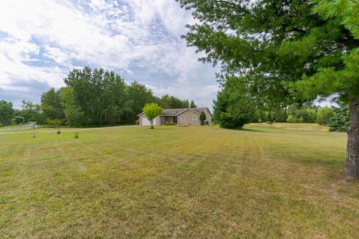 Large Front Yard.jpeg